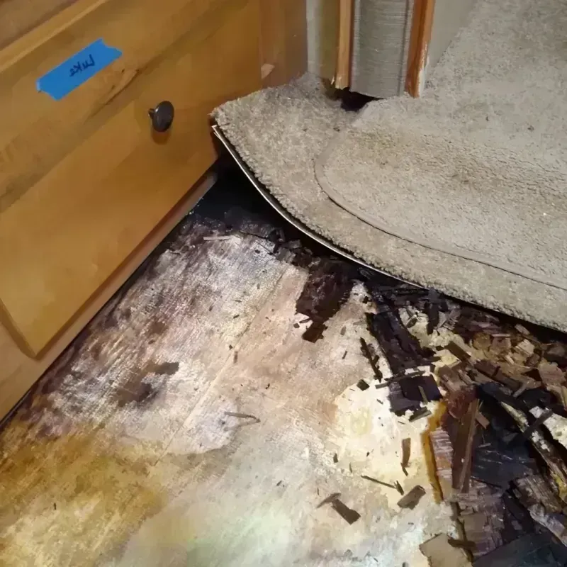 Wood Floor Water Damage in Florala, AL